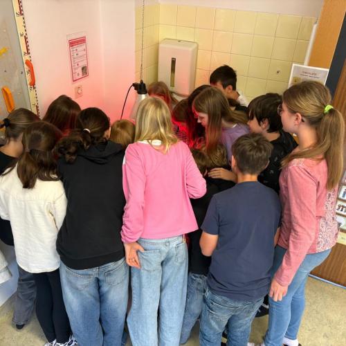 Ein kleines Wunder im Klassenzimmer – Die Küken sind geschlüpft!