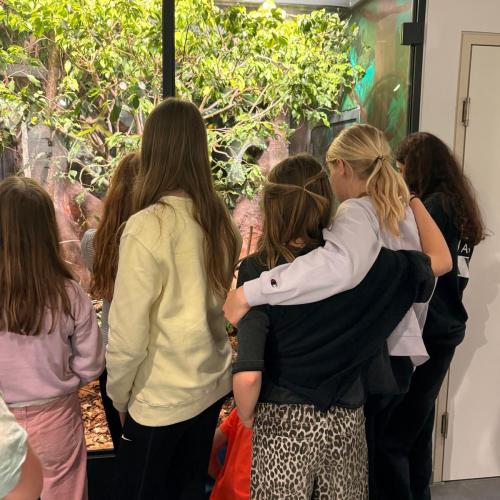Kinder im Haus der Natur